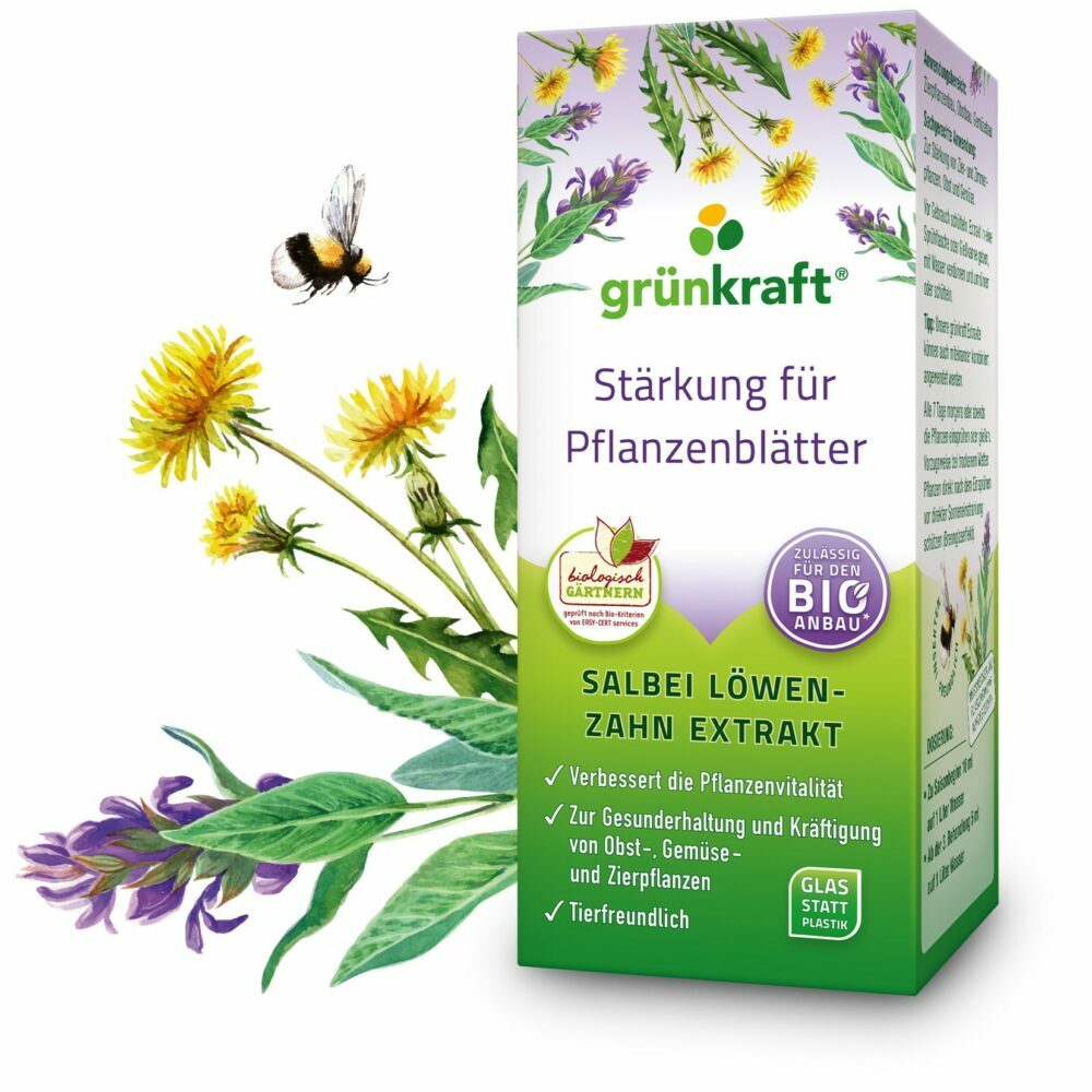 Salbei Löwenzahn Extrakt - grünkarft - 20_03_23