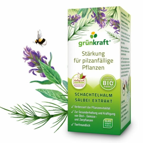 Schachtelhalm Salbei EXTRAKT 200ml